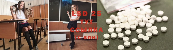 ГАЛЛЮЦИНОГЕННЫЕ ГРИБЫ Балахна