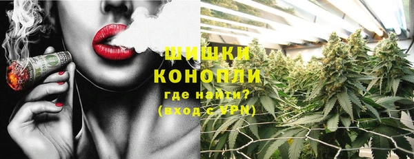 ГАЛЛЮЦИНОГЕННЫЕ ГРИБЫ Балахна
