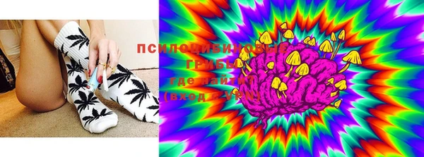 крисы Балабаново