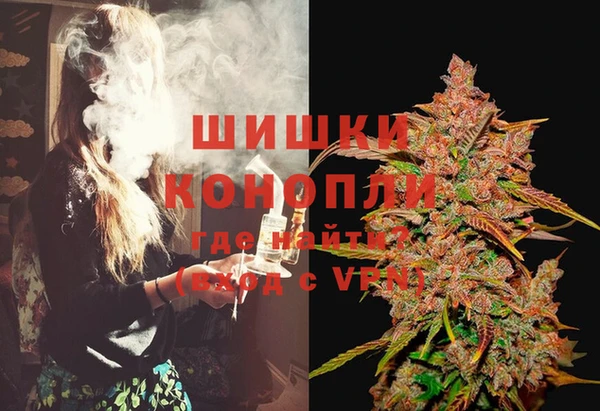 ГАЛЛЮЦИНОГЕННЫЕ ГРИБЫ Балахна
